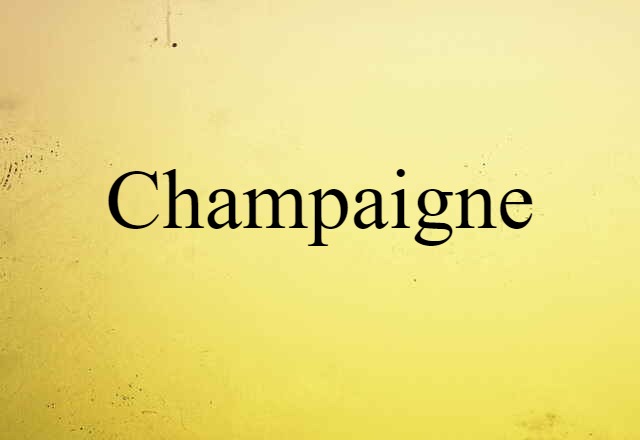 Champaigne (noun) Definition, Meaning & Examples