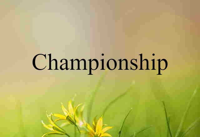 Championship (noun) Definition, Meaning & Examples