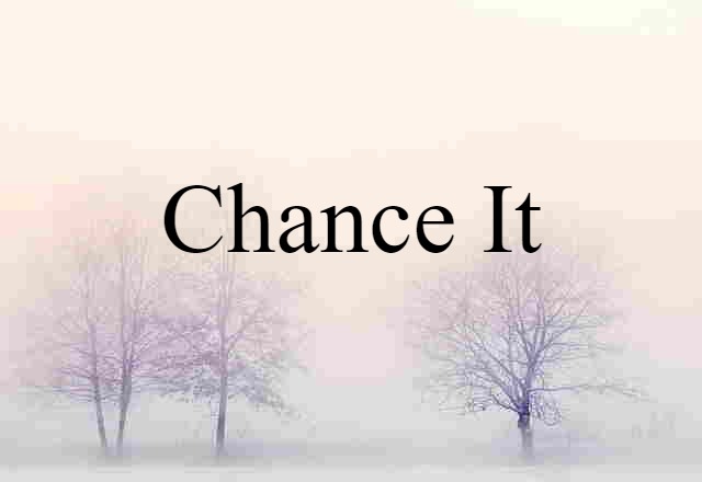 Chance It (noun) Definition, Meaning & Examples