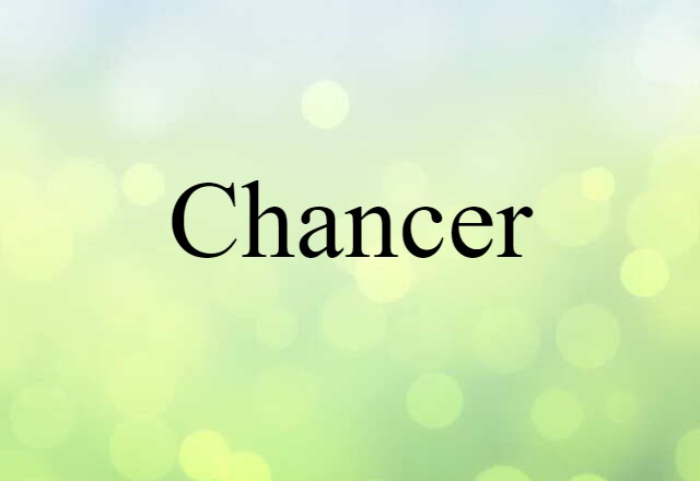 Chancer (noun) Definition, Meaning & Examples