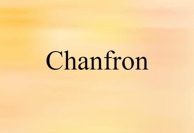 Chanfron (noun) Definition, Meaning & Examples