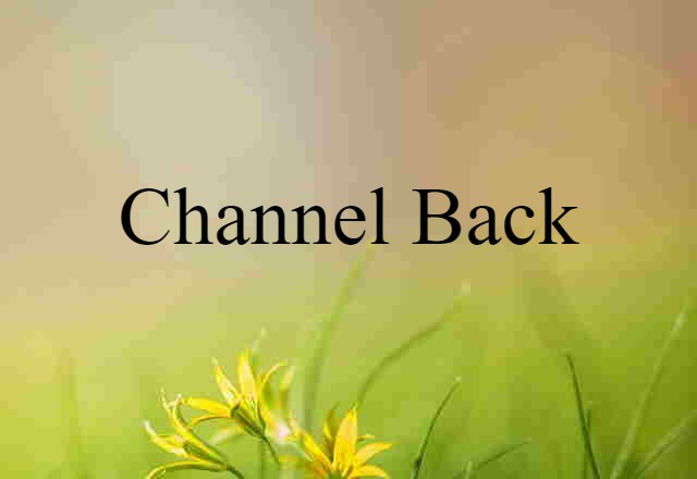 channel back