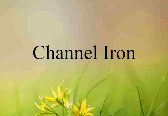 Channel Iron (noun) Definition, Meaning & Examples