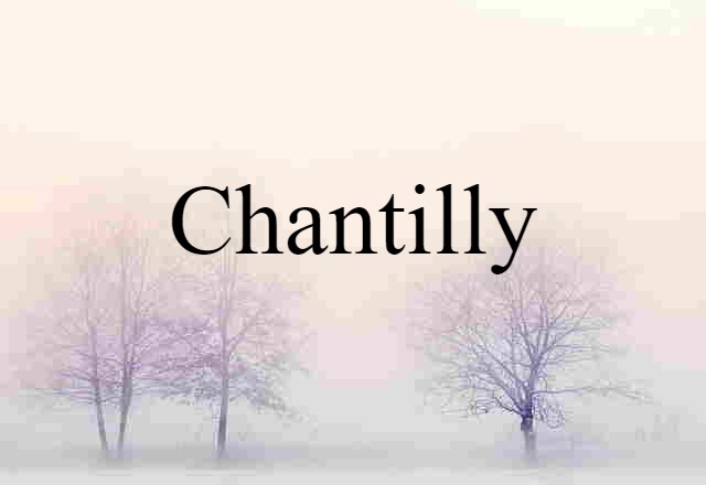 Chantilly (noun) Definition, Meaning & Examples