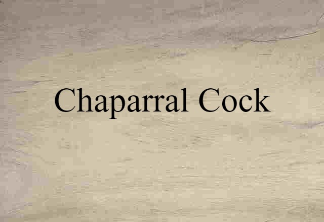 chaparral cock