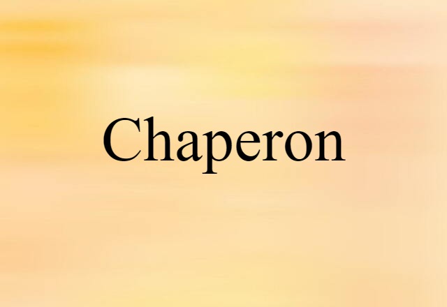 Chaperon (noun) Definition, Meaning & Examples