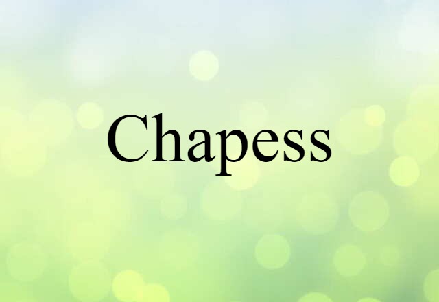 Chapess (noun) Definition, Meaning & Examples