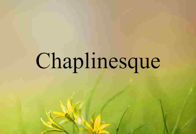 Chaplinesque (noun) Definition, Meaning & Examples