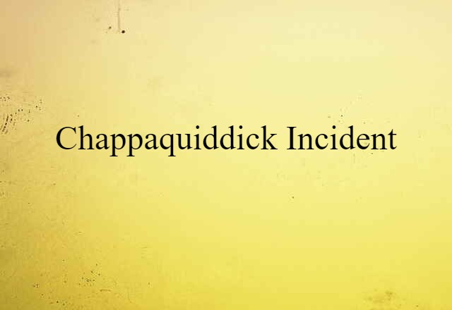 Chappaquiddick Incident (noun) Definition, Meaning & Examples