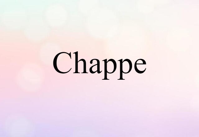 Chappe (noun) Definition, Meaning & Examples