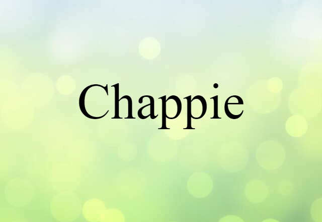 Chappie (noun) Definition, Meaning & Examples