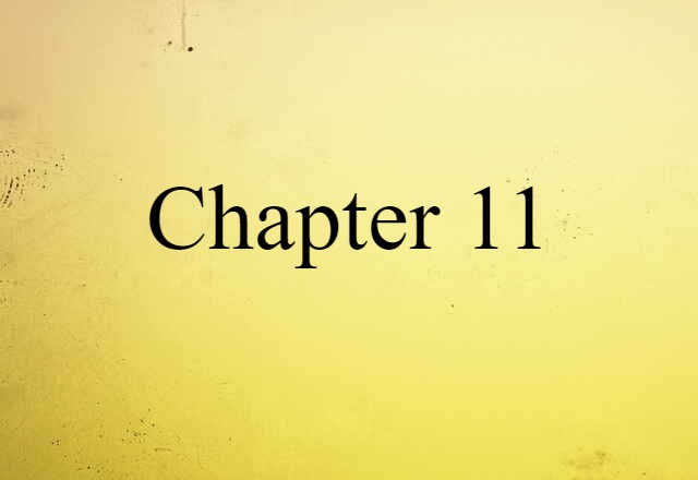 Chapter 11