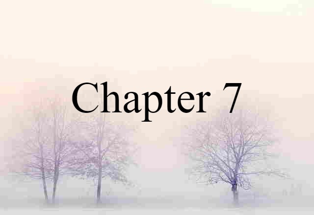 chapter 7