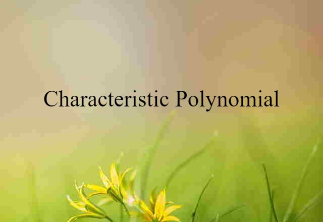 Characteristic Polynomial (noun) Definition, Meaning & Examples