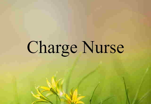 charge nurse