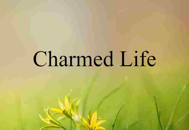 Charmed Life (noun) Definition, Meaning & Examples