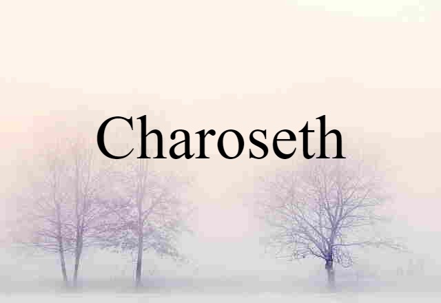 Charoseth (noun) Definition, Meaning & Examples