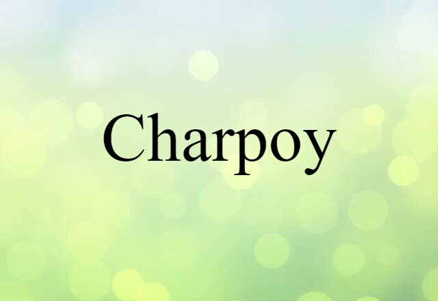 Charpoy (noun) Definition, Meaning & Examples