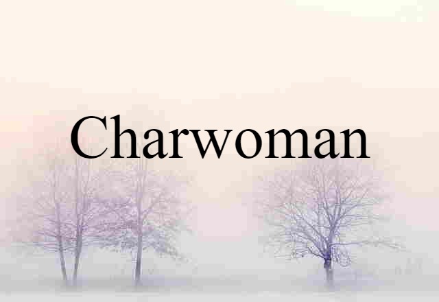 Charwoman (noun) Definition, Meaning & Examples