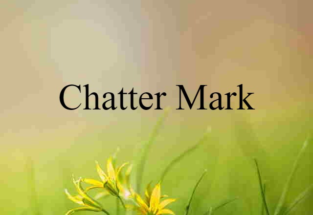 Chatter Mark (noun) Definition, Meaning & Examples