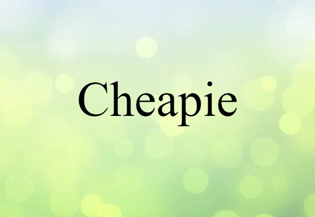 Cheapie (noun) Definition, Meaning & Examples