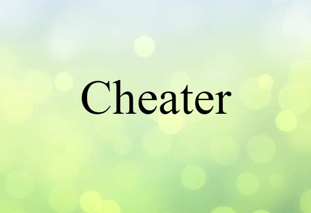 Cheater (noun) Definition, Meaning & Examples