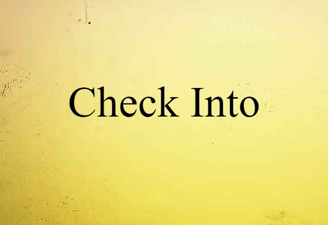 Check Into (noun) Definition, Meaning & Examples