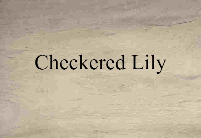 checkered lily