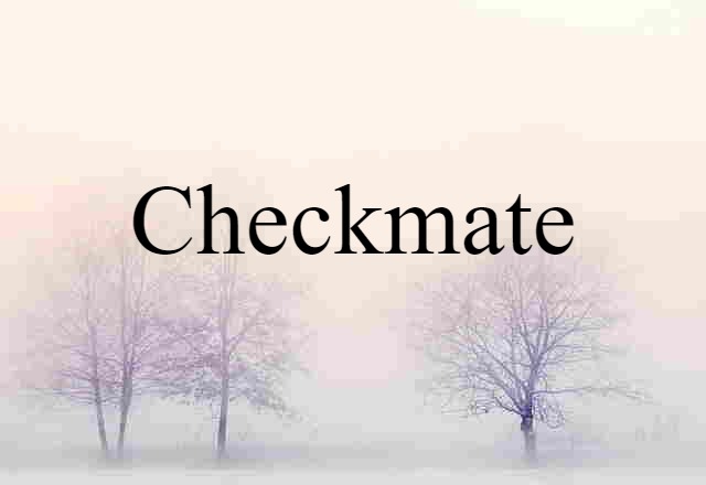 Checkmate (noun) Definition, Meaning & Examples