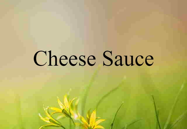 Cheese Sauce (noun) Definition, Meaning & Examples