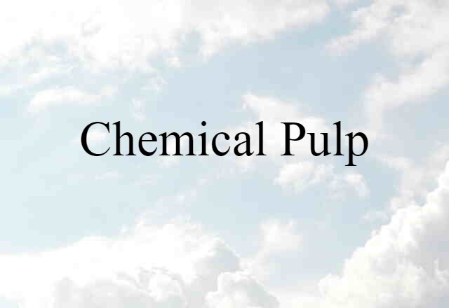 Chemical Pulp (noun) Definition, Meaning & Examples