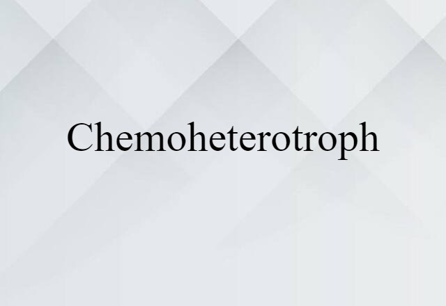 chemoheterotroph