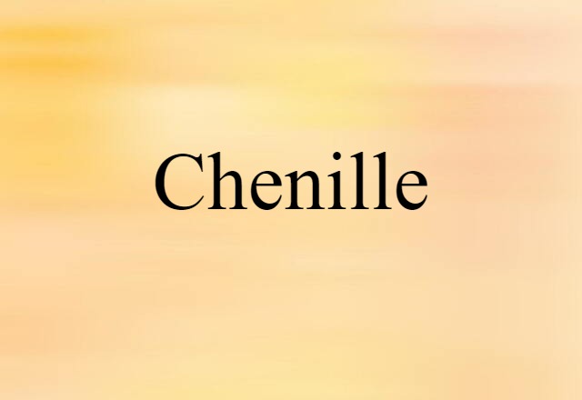 Chenille (noun) Definition, Meaning & Examples