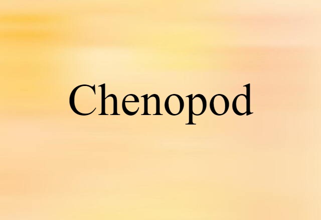 chenopod