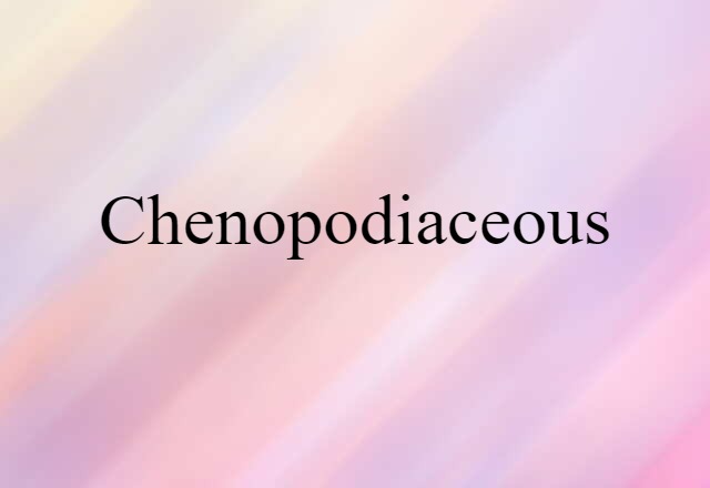 Chenopodiaceous (noun) Definition, Meaning & Examples