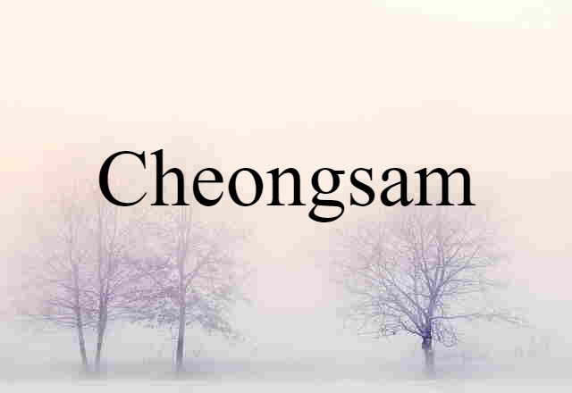 Cheongsam (noun) Definition, Meaning & Examples