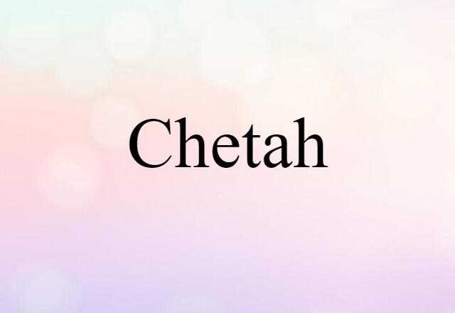 Chetah (noun) Definition, Meaning & Examples