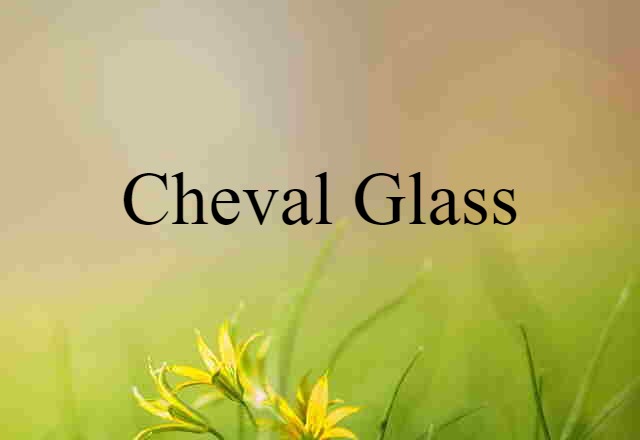 Cheval Glass (noun) Definition, Meaning & Examples