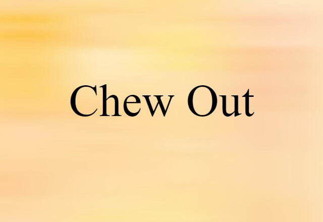 Chew Out (noun) Definition, Meaning & Examples