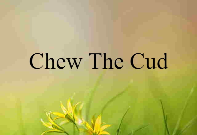 chew the cud