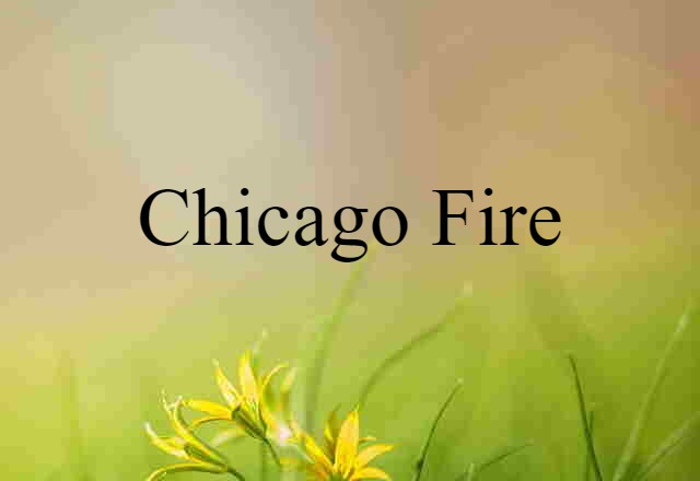 Chicago Fire