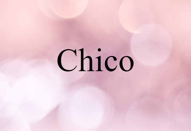 Chico (noun) Definition, Meaning & Examples