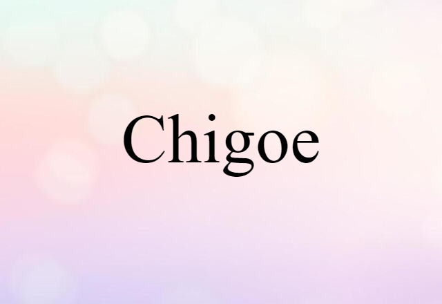 Chigoe (noun) Definition, Meaning & Examples