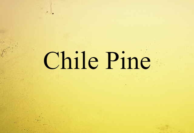 Chile Pine (noun) Definition, Meaning & Examples