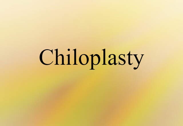 Chiloplasty (noun) Definition, Meaning & Examples