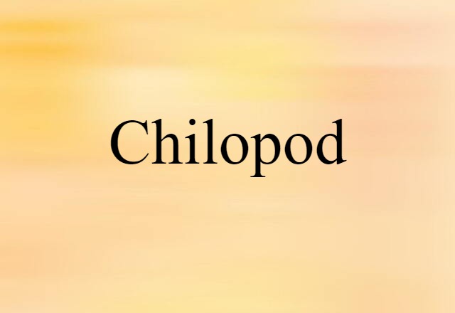 chilopod