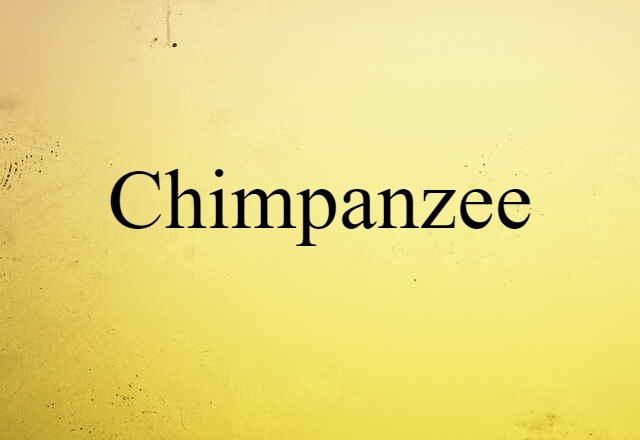 chimpanzee