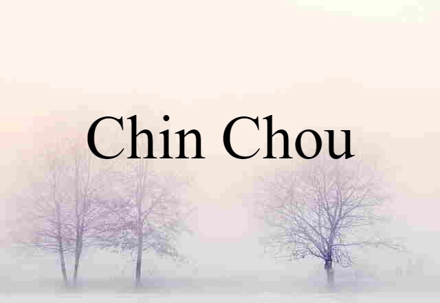 Chin-Chou (noun) Definition, Meaning & Examples