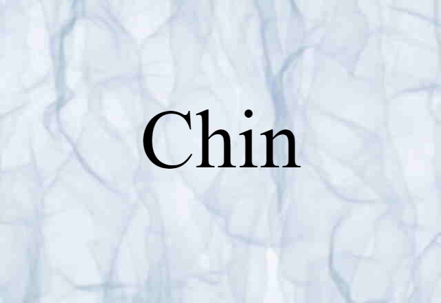 Chin (noun) Definition, Meaning & Examples