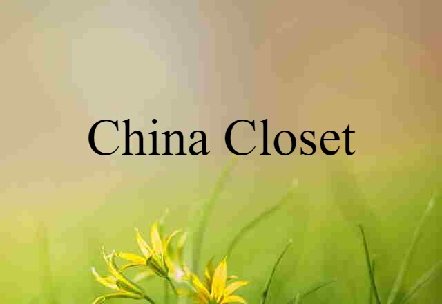 China Closet (noun) Definition, Meaning & Examples